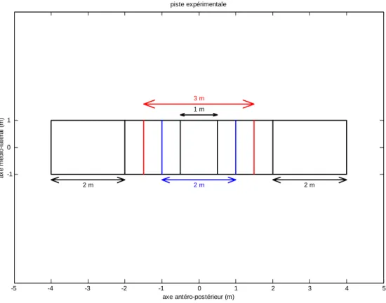 Figure 9 : Schéma de l’espace expérimental utilisé pour les déplacements linéaires 