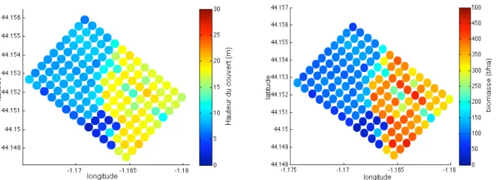 Figure 9 : Gauche : Hauteur du sommet des arbres par sous-parcelles de 30x30m (parcelle de Mimizan)- Droite :  Évaluation de la biomasse (parcelle de Mimizan)