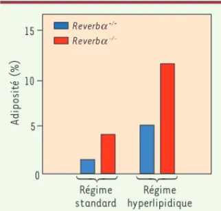 Figure 2. L’absence de Reverba  in vivo pro- pro-voque une augmentation de l’adiposité
