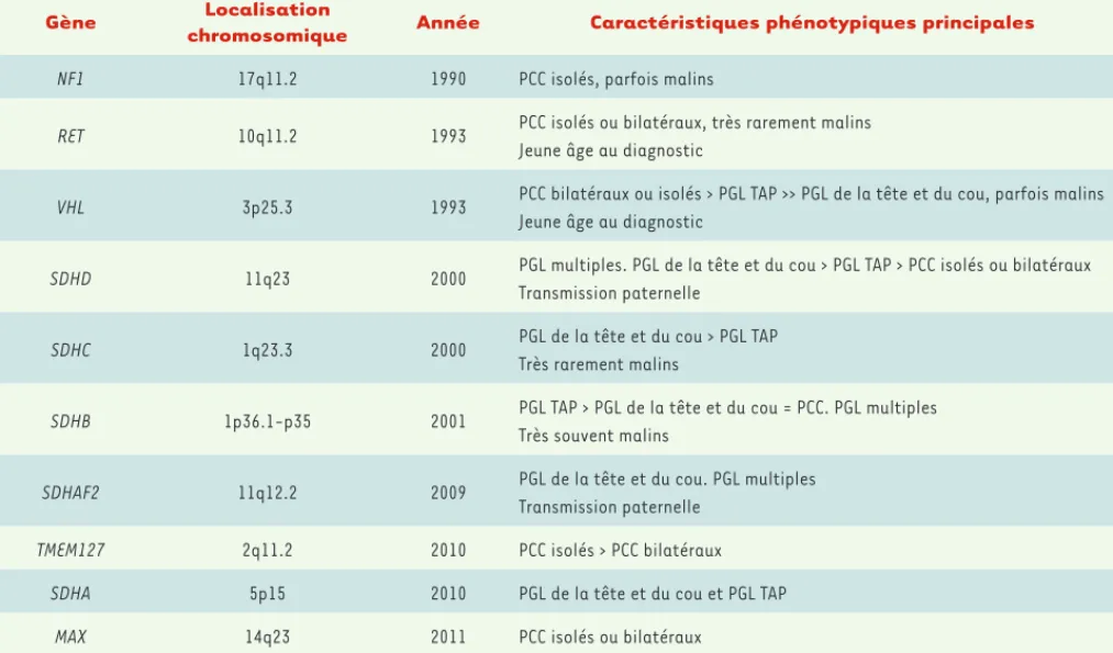 Tableau I. Les dix gènes de prédisposition au PGL/PCC : localisation chromosomique, année d’identification et principales corrélations   phénotypiques