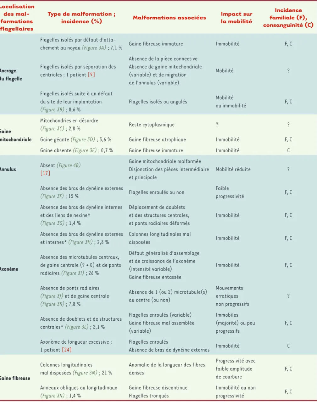 Tableau I. Localisation et caractéristiques des malformations du flagelle du spermatozoïde humain