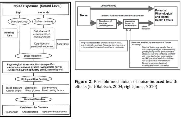 Figure  2.  Possible  mechanism  of  noise‐induced  health  effects (left‐Babisch, 2004, right‐Jones, 2010) 