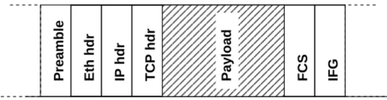 Figure 7: Frame and payload.