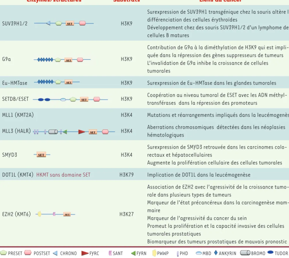 Tableau I. Lysine méthyltransférases (HKMT) et cancer.