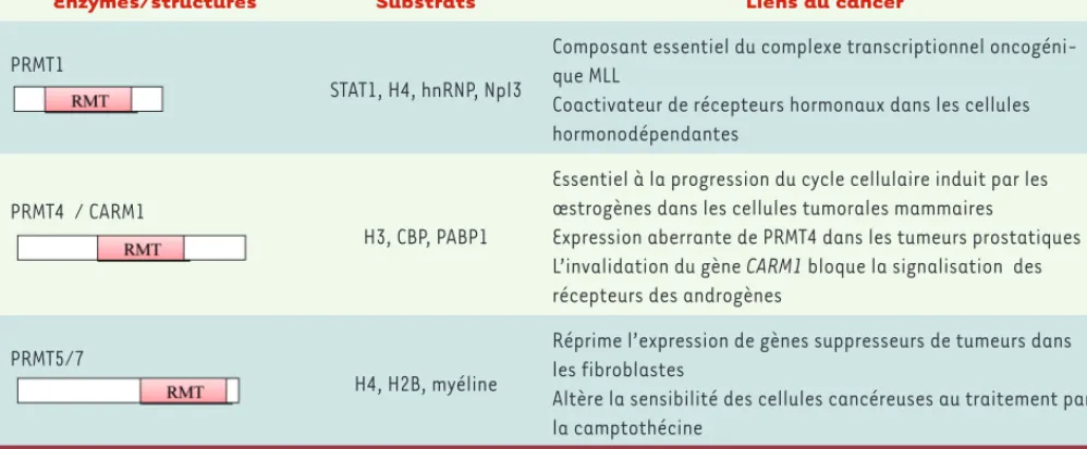 Tableau II. Arginine méthyltransférases (PRMT) et cancer.