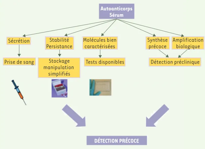 Figure 2. Synthèse des avantages d’un test précoce basé sur une signature d’autoanticorps.