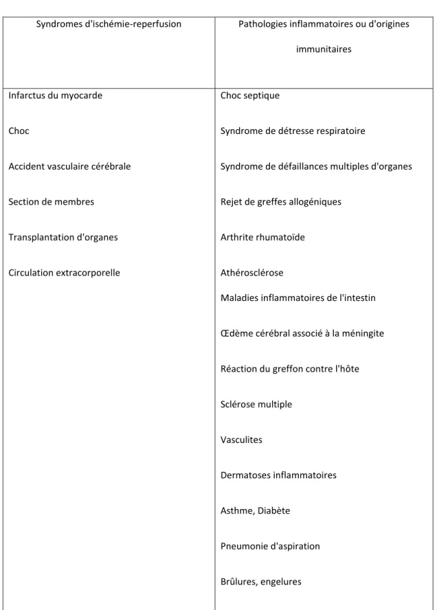 Tableau   1. Pathologies associées à des dommages tissulaires causés par les PMNs (adapté de  Harlan et al., 1993)