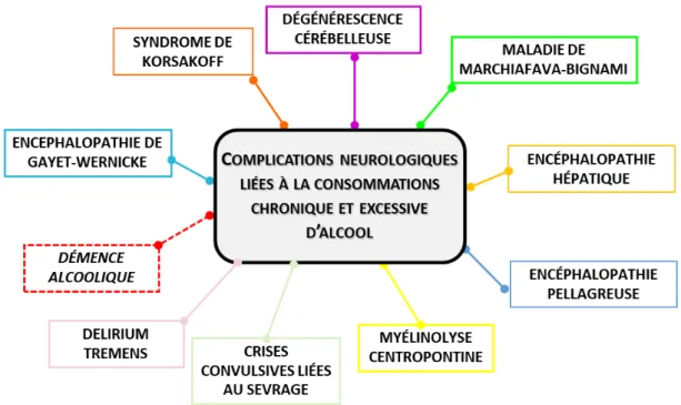 Figure 4 : Principales pathologies neurologiques, directement ou indirectement liées à  la consommation chronique et excessive d’alcool