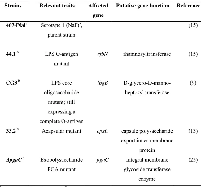 Table 1. Actinobacillus pleuropneumoniae strains used in the present study. 