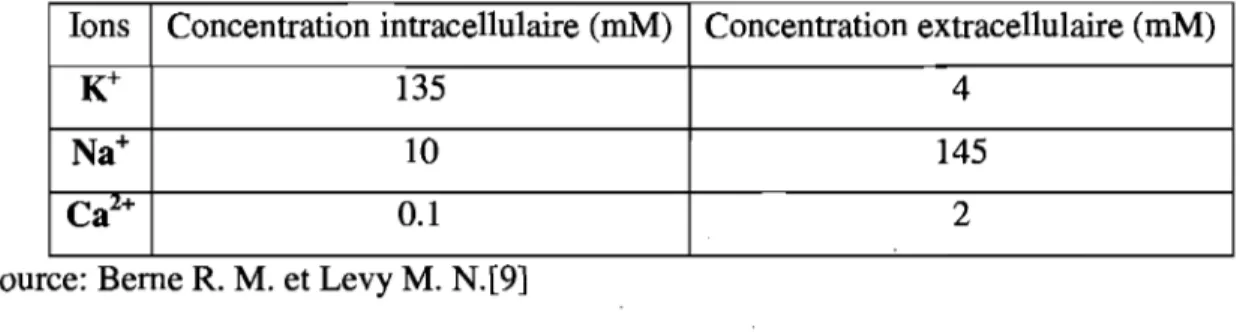 Tableau 1:  Concentration ionique présente chez les cardiomyocytes au potentiel de repos