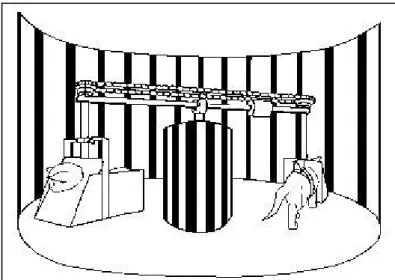 Figure  8 .    Dispositif  permettant  une  stimulation  visuelle  semblable  dans  le  contexte  d’un  mouvement passif ou actif chez des chatons
