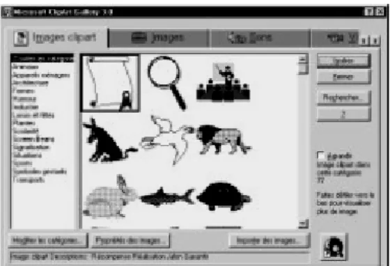 Figure 3. Fenêtre pour l’insertion d’images dans Microsoft Word. 