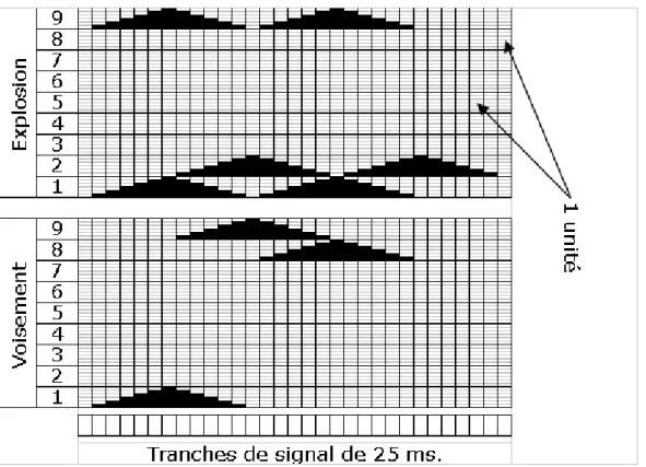 Figure 4 : Codage du système de traits dans la couche d‟entrée – exemple pour deux des  sept traits 