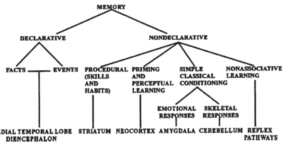 Figure 1. Taxonomie des systèmes de mémoire à long terme chez l’humain selon Squire (2004).