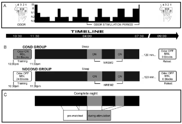 Figure 1. Experimental design. 