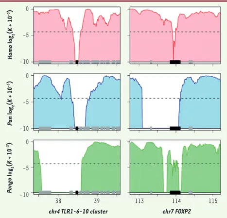 Figure 2. Balayages sélectifs inférés aux locus  des récepteurs Toll-like 1, 6 et 10 et du gène  FOXP2