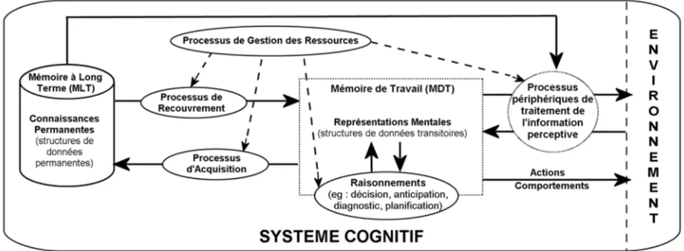 Figure 14 : Architecture cognitive élémentaire du système cognitif humain conçu comme un  système de traitement de l'information (Bellet 1998)
