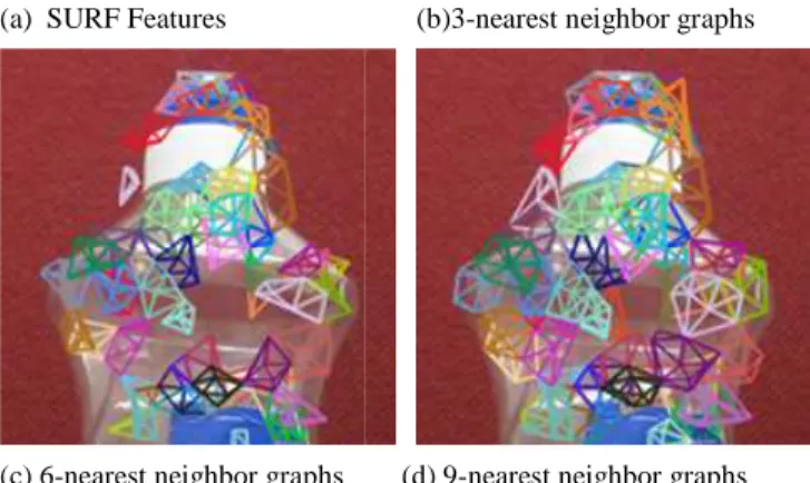 Figure 1: SURF and graph features on a crop object ajaxorange from SIVAL database