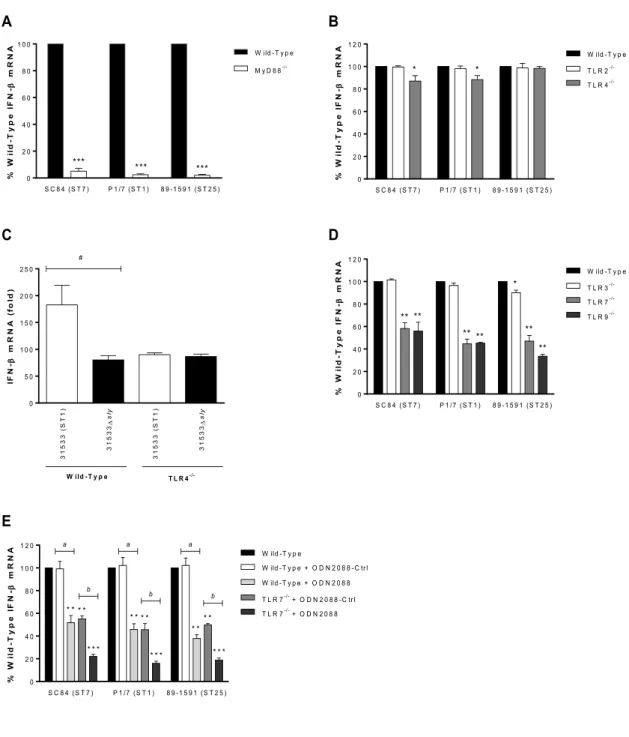 Figure  3.  Recognition  of  S.  suis  by  the  Toll-like  receptor  (TLR)  pathway  is  required for induction of IFN-β expression by dendritic cells (DCs)