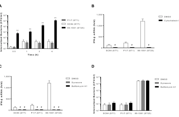 Figure  5.  S.  suis-induced  IFN-β  expression  by  dendritic  cells  requires  internalization  and  phagosome  maturation