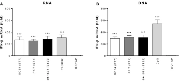 Figure 6. The S. suis  nucleic acids are responsible for inducing IFN-β expression  by  dendritic  cells  following  phagosomal  delivery