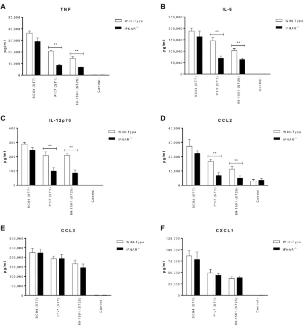 Figure 7.  S. suis-induced type I interferon produced by dendritic cells  modulates  autocrine cytokine production
