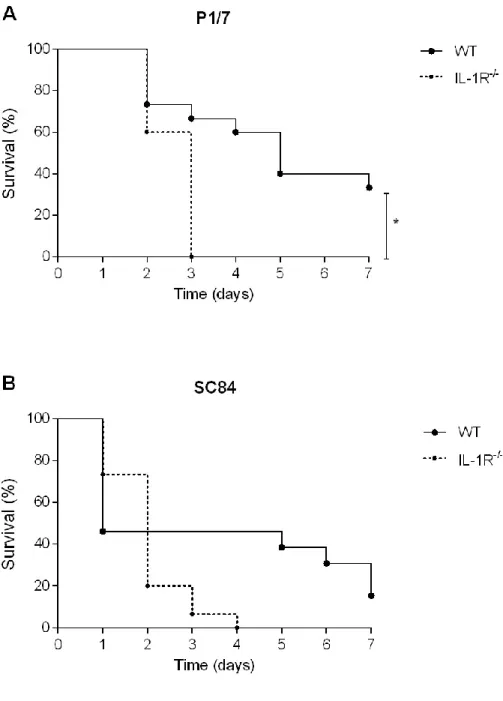 Figure 8.  Survival  of  wild-type  (WT)  and  IL-1  receptor-deficient  (IL-1R -/- )  mice  following Streptococcus suis systemic infection