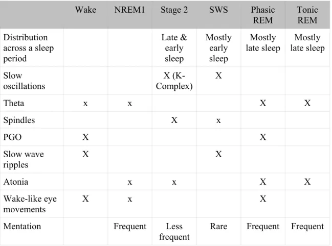 Table 1. Phenomena associated with sleep and their typical distribution across sleep stages  and wake