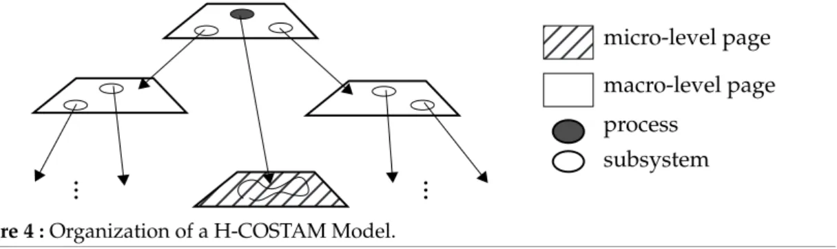 Figure 4 :  Organization of a H-COSTAM Model.