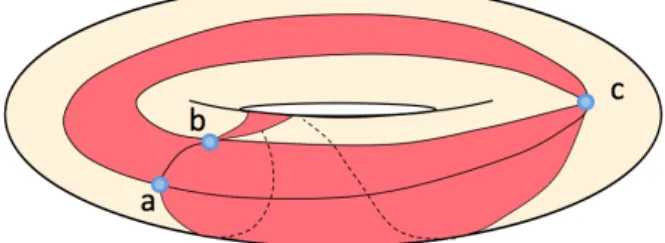 Figure 1: In the torus, at least three adjacent oriented facets (acb), (abc), and (cab) can share the three vertices a, b and c