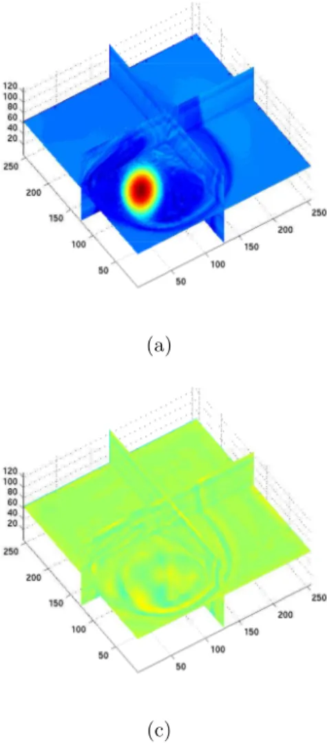 Figure 8: Extraction of edge structure. (a) original vortex flows. (b) extraction by 3D wavelets