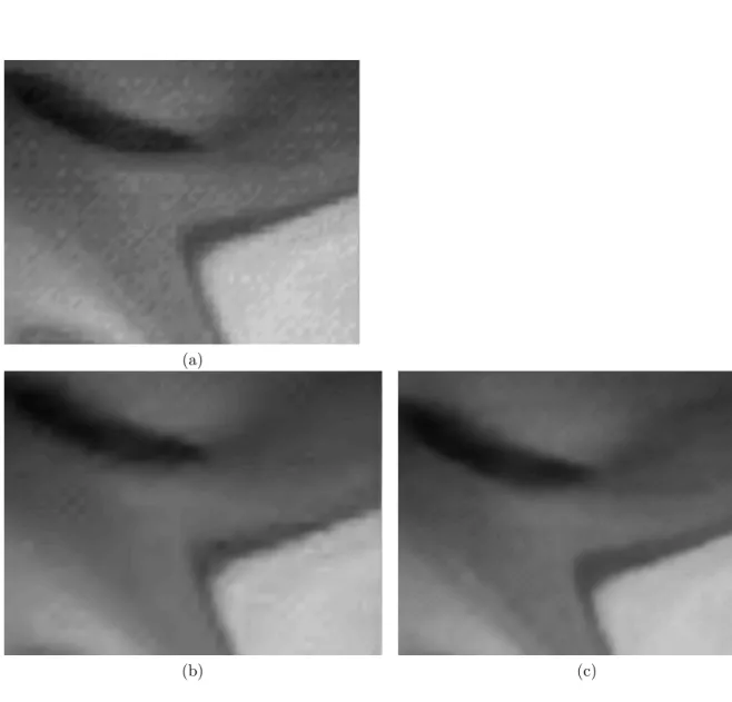 Figure 12: Close-up of Fig. 11. (a) Original noisy data. (b) wavelet denoising.