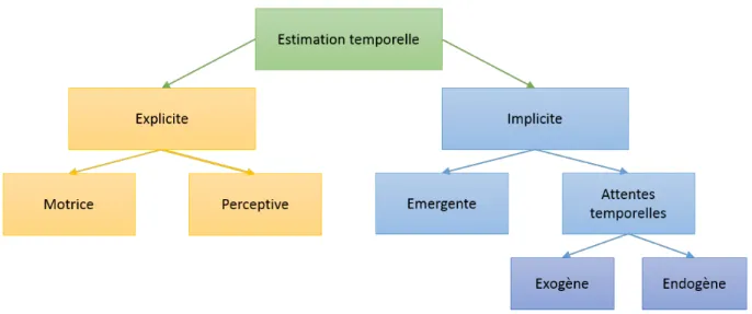 Figure   1: Taxonomie fonctionnelle de l’estimation temporelle proposée par Coull  et Nobre (2008) 