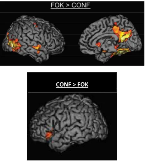 Figure 9. IRMf issue de l'étude de Chua et al. (2009) montrant les différentes activations  cérébrales en fonction de la tâche de métamémoire effectuée (tâche de FOK ou de JOC, ici 