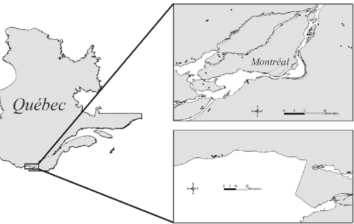 Fig. 1: Location of wetlands sampled (in 2009 and 2010) for amphibians to assess the  effects  of  reed  establishment,  wetland  characteristics,  landscape  composition  and  landscape configuration in the Montréal area, Québec, Canada