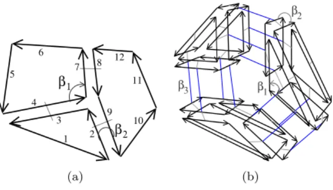 Figure 2: Combinatorial maps describing the two objects of Fig. 1. The 2D combinatorial map (a) contains 12 darts