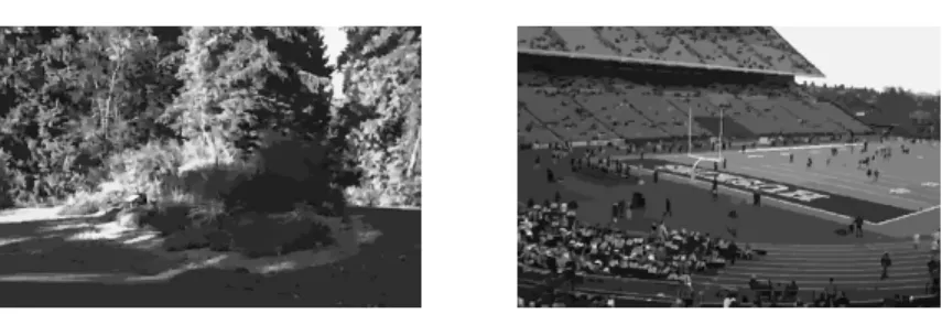 Fig. 4. Examples of 2D segmented images. (Left) arbogreens05. (Right) football05.