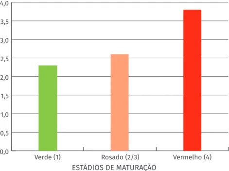 Figura 4. Variação do rendimento de óleo essencial em diferentes estádios de  maturação dos frutos da aroeira.