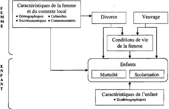 Figure 1 : Cadre conceptuel de l'étude 