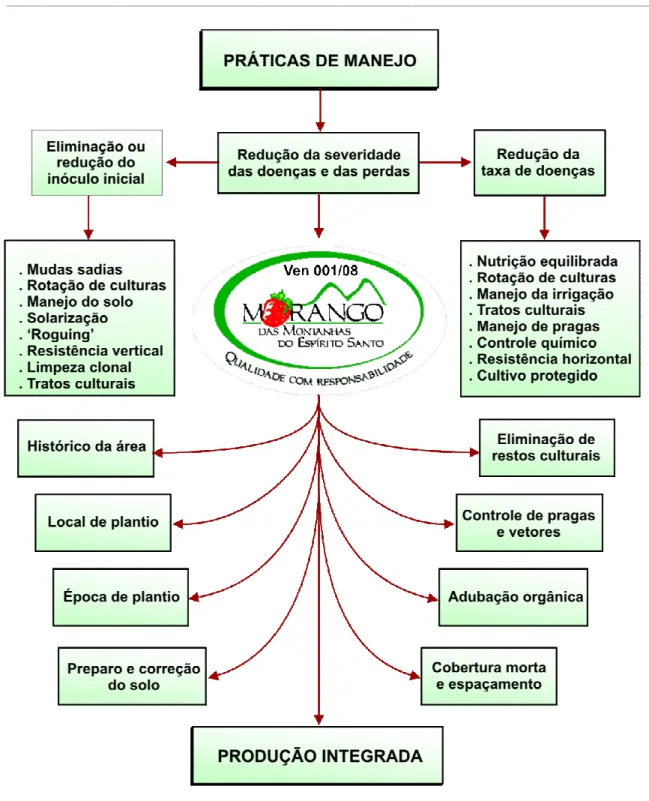 Figura  1   Representação  esquemática  das  principais  táticas  usadas  no  manejo  integrado  das  doenças do morangueiro (COSTA; VENTURA, 2007)