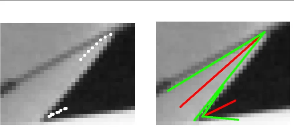 Figure 1: Two examples of corner detection. Left: tracking corner position across AMSS, superimposed over the original image