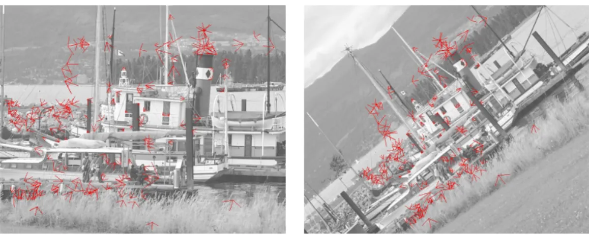 Figure 4: Robust matching experiment, scale and rotation transformation. Here are shown the 177 pairs of inliers to the robustly estimated homography between left and right images.