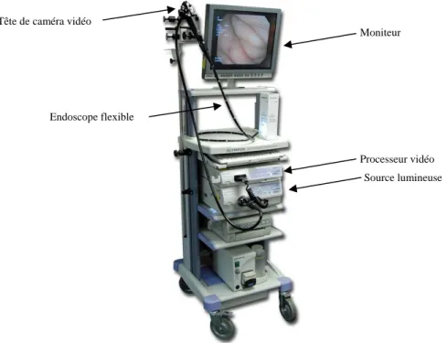 Figure 2.3 : Système endoscopique [19] 