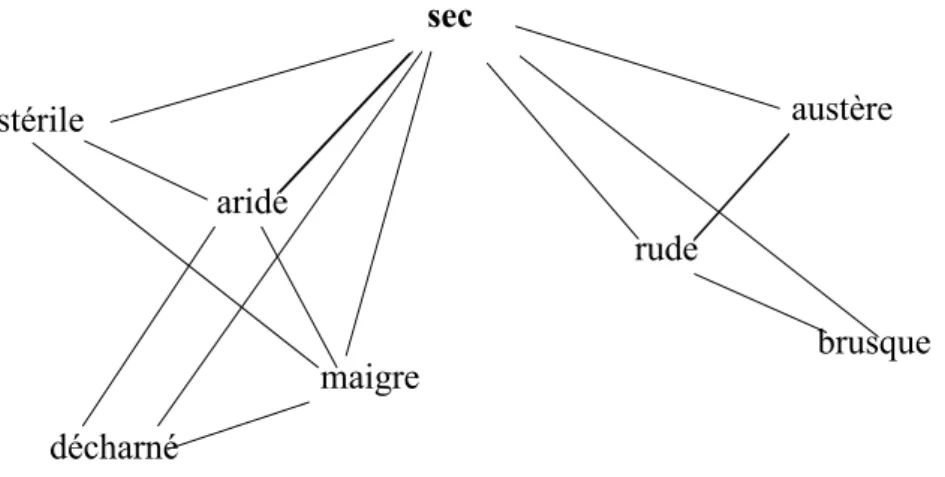 Figure 2 : un extrait du graphe de synonymie de sec. 