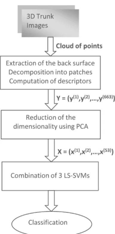 Figure 1. General overview of the Classification system.