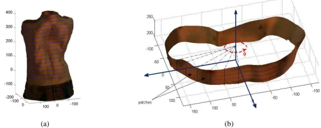 Figure 2. Features extraction: (a)Decomposition of trunk into slices. (b) Decomposition of transversal slice into patches.