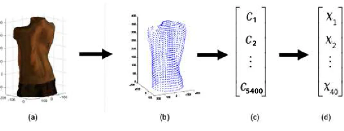 Fig. 3. Features extraction process: (a) 3D trunk image; (b) cloud of 1800 points; (c) vector of 5400 components; (d) 40 components resulting from PCA.