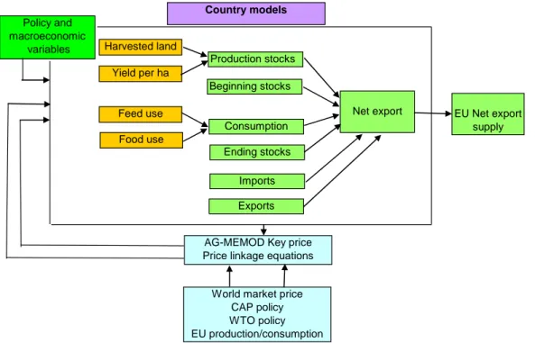 Figure 3.1: Country and EU model structure in AGMEMOD 