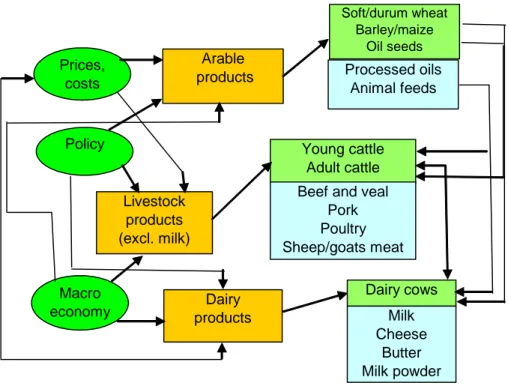 Figure 3.2: Linkages between commodity markets in AGMEMOD 