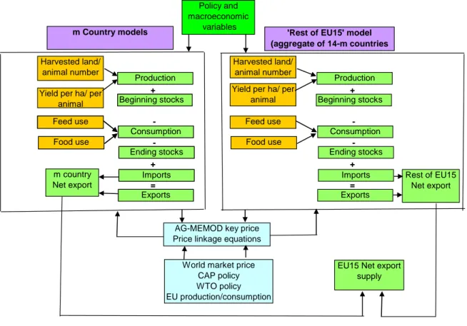 Figure 3.8: EU-15 model commodity structure in AGMEMOD 
